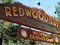 Disney California Adventure - Redwood Creek Challenge Trail