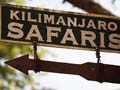 Animal Kingdom Park - Kilimanjaro Safaris Expedition